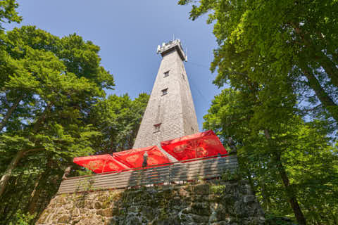 Gemeinde Sonnenwald Landkreis Freyung-Grafenau Brotjacklriegel Aussichtsturm (Dirschl Johann) Deutschland FRG